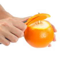 Pèle Orange LURCH - www.simaco-shop.com