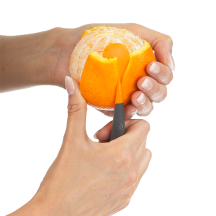 Pèle Orange LURCH - www.simaco-shop.com