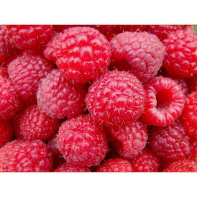 Framboise - arôme naturel