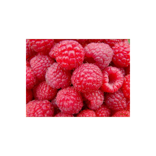 Framboise - arôme naturel 50 ml