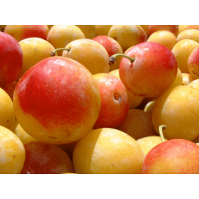 Mirabelle - arôme naturel