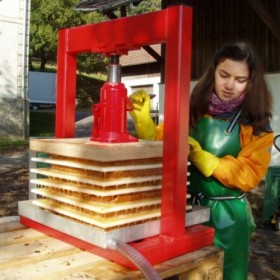 Pressoir hydraulique à cric TP10