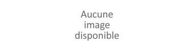 Bonhomme pain d’épices